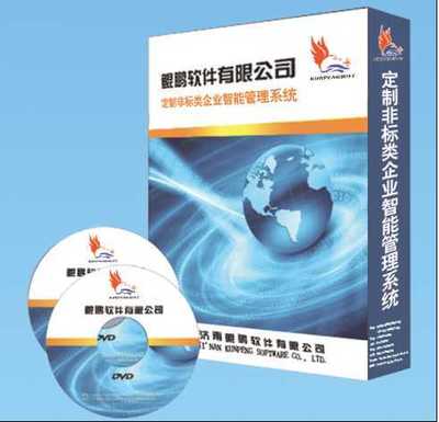 山東地區(qū)軟件開發(fā)服務全解析 從電腦軟件到公眾號開發(fā)